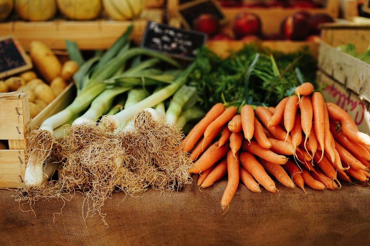 Dieta antiinflamatoria